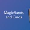 ウォルト・ディズニー・ワールド Magic band