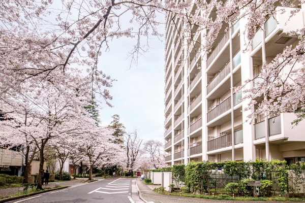 桜並木がシンボル。竣工20年で人の輪が広がる我孫子のマンション