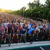 2019 ツール・ド・おきなわ市民210km 19位