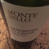 MonteBello Sangiovese del Rubicone