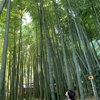 鎌倉・江ノ島旅行（3日目：寝坊と竹林）