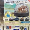 【ガチャ活】【猫砂スノードーム 現代美術二等兵 全4種 500円 キタンクラブ】発想は素晴らしいと思うのですが、作る難易度高いです・・・