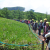 梅雨の晴れ間の池の平学生ガイド