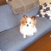 自分のためと人のため