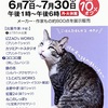 本日から「初夏の福猫展」