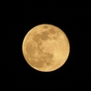 今夜のスーパームーン＆今日の独り言