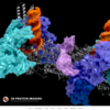 ウェブブラウザ上で高品質な高分子構造の可視化を行う Protein Imager