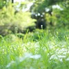ブログ記事の整理をして大量削除しました
