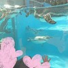 10/29〜11/8の検索『埼玉こども動物自然公園』他