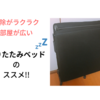 ベッドの下からゴキブリが！だったら掃除がラクな折りたたみベッドのススメ【アイリスオーヤマ】