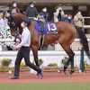 レース前から懸念されたことですが、Ｈペースと前が止まらない高速馬場で追走に手一杯。脚が溜まるところがなく、４角を回ってくる時点で余力がなくて勝負あり。上位馬とは底力の差が出てしまった１４着。★アリーヴォ