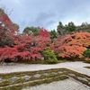 【南禅寺天授庵】紅葉鮮やかな庭園は京都随一の美しさ！冒険心くすぐる庭園の見どころを紹介