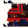 GRIZZLY BEAR 「PAINTED RUINS 」