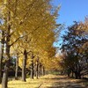 川越水上公園を歩く（12月1日）