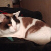 2025-03-13(Thu)