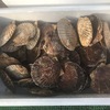 森町噴火湾のホタテ貝