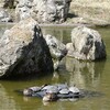 袖ケ浦公園の一日