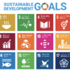 保守勢力との共通の土俵および社会変革のテコとしてのSDGs