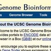 .bed fileをUCSC Genome Browserで表示する