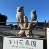 掛川花鳥園に行ってきた！