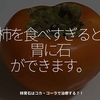 1855食目「柿を食べすぎると胃に石ができます。」柿胃石はコカ・コーラで治療する？！