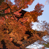 京都の名残紅葉２・南禅寺