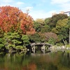京都ｄｅお散歩　１２５　～枳殻邸（きこくてい）にて～