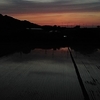  ある日の夕暮れ 2024 その２ 