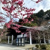 照明も見どころ。九州国立博物館『奈良・中宮寺の国宝』展へ