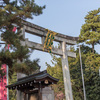 京都・北野天満宮の梅