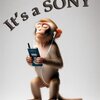 ノイズキャンセリング機能搭載SONYウォークマン専用イヤホン
