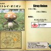 【FF14】暁月フィールドモブNo.0034 「ストレイ･オニオン(Stray Onion)」