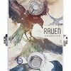 「Rock Stock Pedals Raven Overdrive V2」「Skyline Reverb」！ハイセンスなデザインと扱いやすいサウンドのオーバードライブとリバーブが登場！