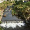 鰻棲む川はいずこの秋の風