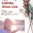 カリンバクリスマスライブ
