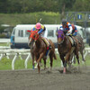  競馬再編の青写真と連携への模索