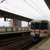 #3991　春田（2024.6.23）