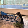 2025/01/28の雑記：サンシャイン水族館とプラネタリウムに行った