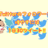 Twitterのフォロワーを増やす方法！1日30ツイート！つぶやきまくる作戦！