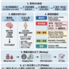 意識障害の鑑別：局在・病態・時間軸で整理する実践的アプローチ