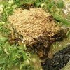 大阪市浪速区戎本町「無鉄砲」大阪本店