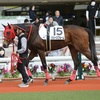 愛馬観戦記　R5-67【リリーズブルーム　2歳未勝利】