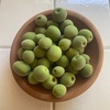 涙の数だけ梅がある
