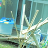 就職活動とB型作業所の卒業