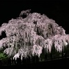 三春の滝桜