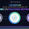 Moonstake、Polygon Network上のORBSステーキングサポートを開始