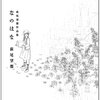 主体的真理と絶対的真理―萩尾望都『なのはな』