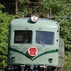 新緑の静岡（大井川・天浜線）