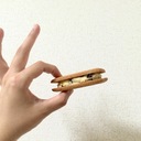 おはようコロシアム