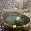 1月「どこかにマイル」岩手旅（平泉～鉛温泉「藤三旅館」～花巻）